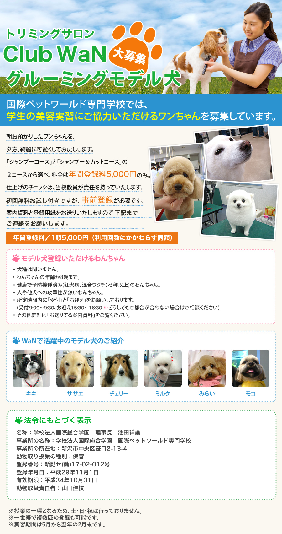 クラブwanグルーミングモデル犬 大募集 Wan 国際ペットワールド専門学校