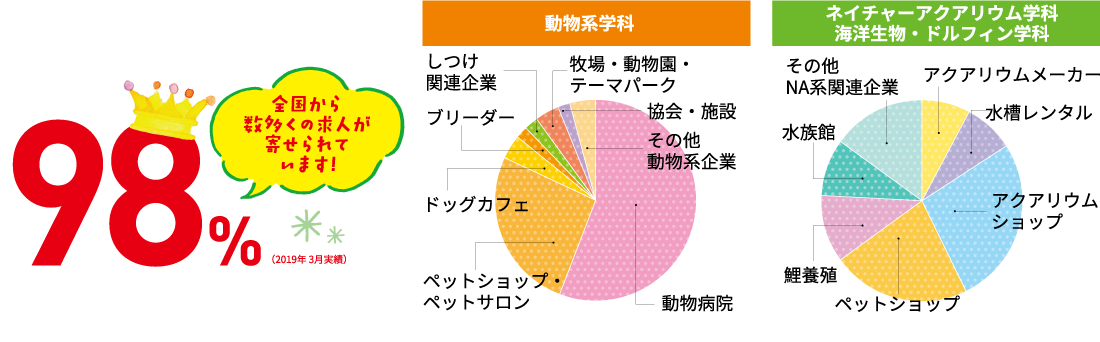 Ob Og動物業界で活躍中 Wan 国際ペットワールド専門学校