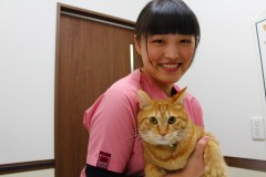 横山さん　猫