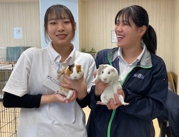 【授業風景】動物愛護・適正飼養実習