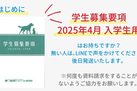 【2025年4月入学対象】8月1日(木)から出願受付スタート！