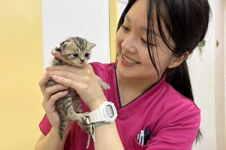 【輝く卒業生】海外で活躍する動物看護師！