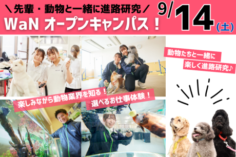 【9/14(土)】AO第Ⅰ期エントリー残り1か月！動物と一緒に楽しくお仕事研究♪