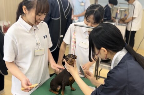 【授業風景】 グルーミング実習が始まりました🐩【1年生】