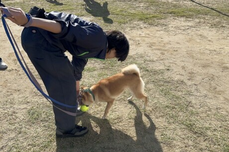 【授業風景】担当犬のお散歩をしてきました🐶