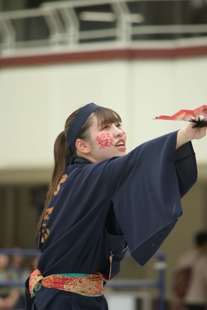 にいがた総おどり④