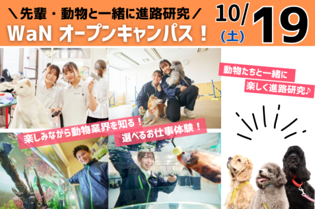 【10/19(土)】AO第Ⅰ期学内面談最終日！動物と一緒に楽しくお仕事研究♪