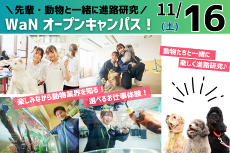 【11/16(土)】AO第Ⅱ期受付スタート！動物と一緒に楽しくお仕事研究♪