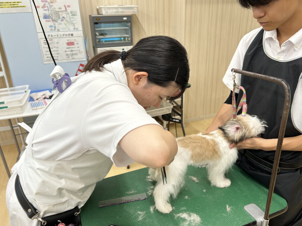 ブログ写真⑤