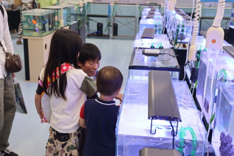 【学生が運営！】WaN水族館を開催しました🐟