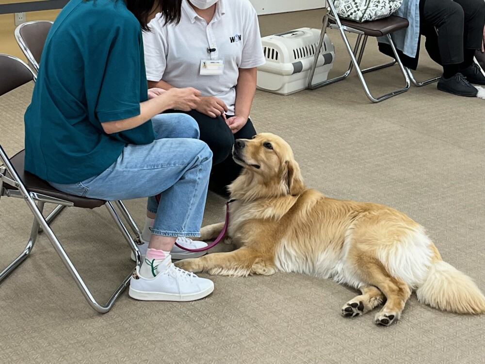 ブログ写真③