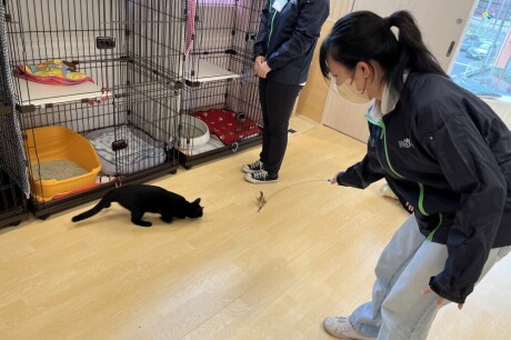 【授業風景】猫たちと仲良く触れ合いました♪