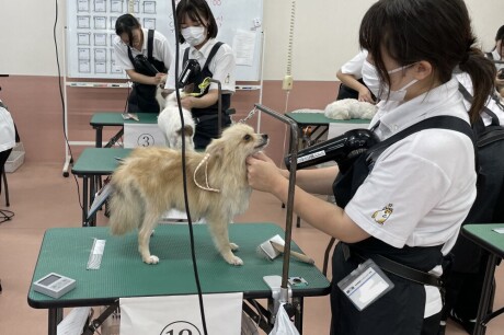 【授業風景】サロントリマー検定３級の試験がありました！