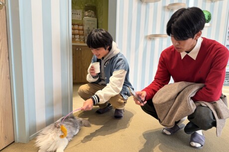 【埼玉研修】猫カフェ&埼玉県こども動物自然公園へ行ってきました！②