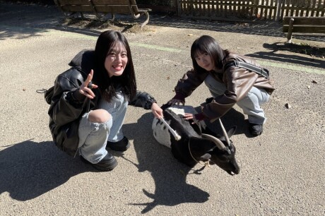 【埼玉研修】猫カフェ&埼玉県こども動物自然公園へ行ってきました！①