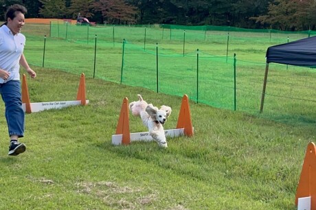 【授業風景】ドッグスポーツ大会の出場に向けて練習をしてきました！