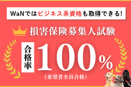 【WaNは資格に強い！】損害保険募集人試験合格率100%！