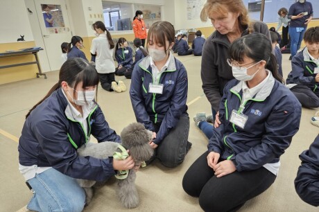 【特別授業】今注目のケア方法「Tタッチ」で犬を落ち着かせる！？