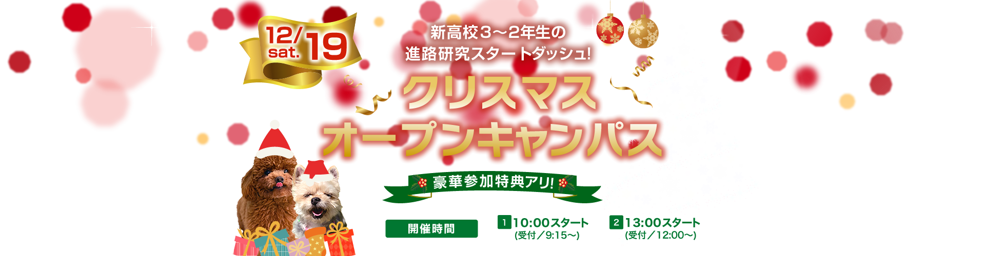 Wanクリスマスオープンキャンパス Wan 国際ペットワールド専門学校 新潟県唯一で日本海側最大級の動物系総合専門学校